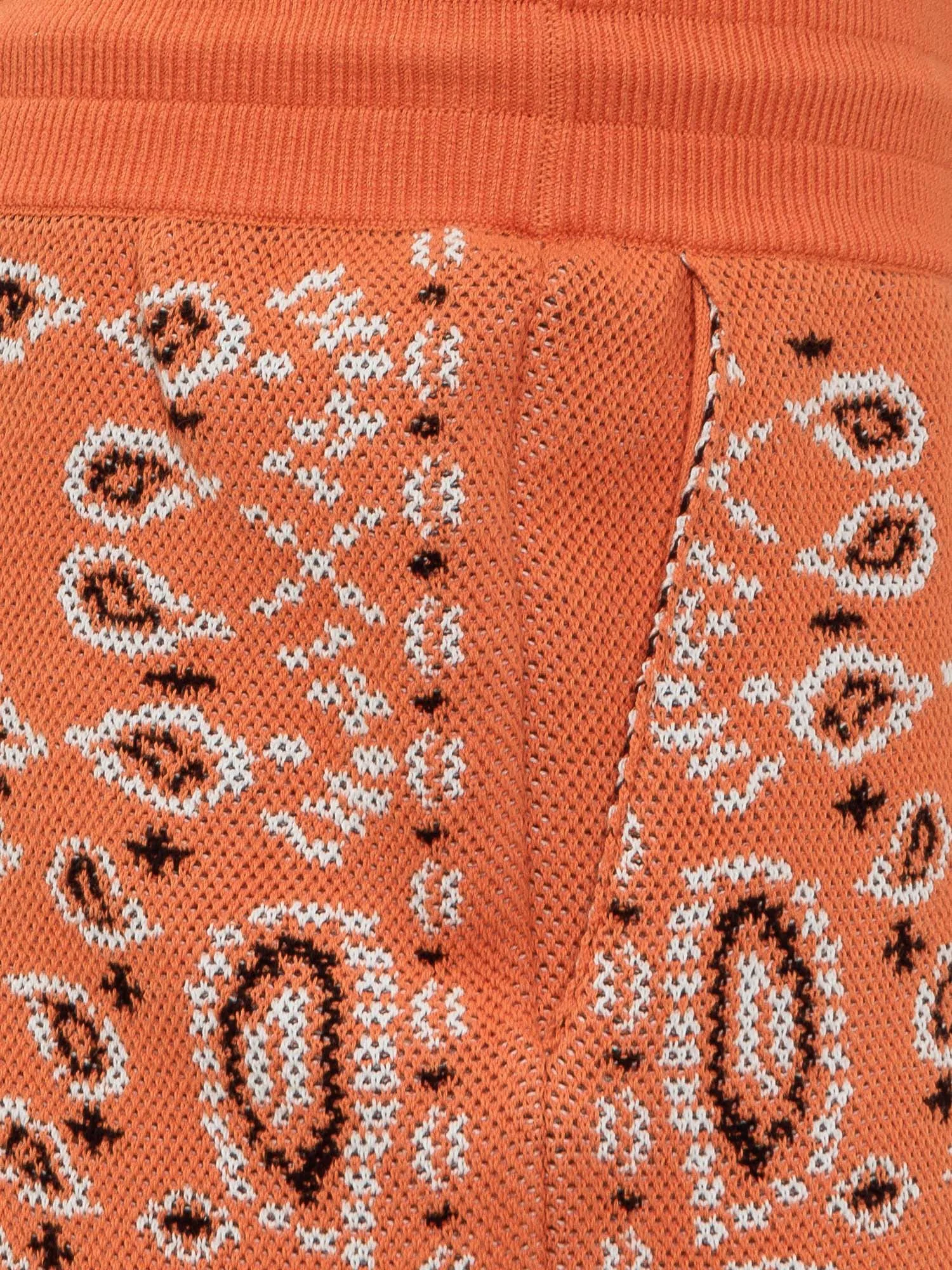 Alanui Bandana Patterned Shorts