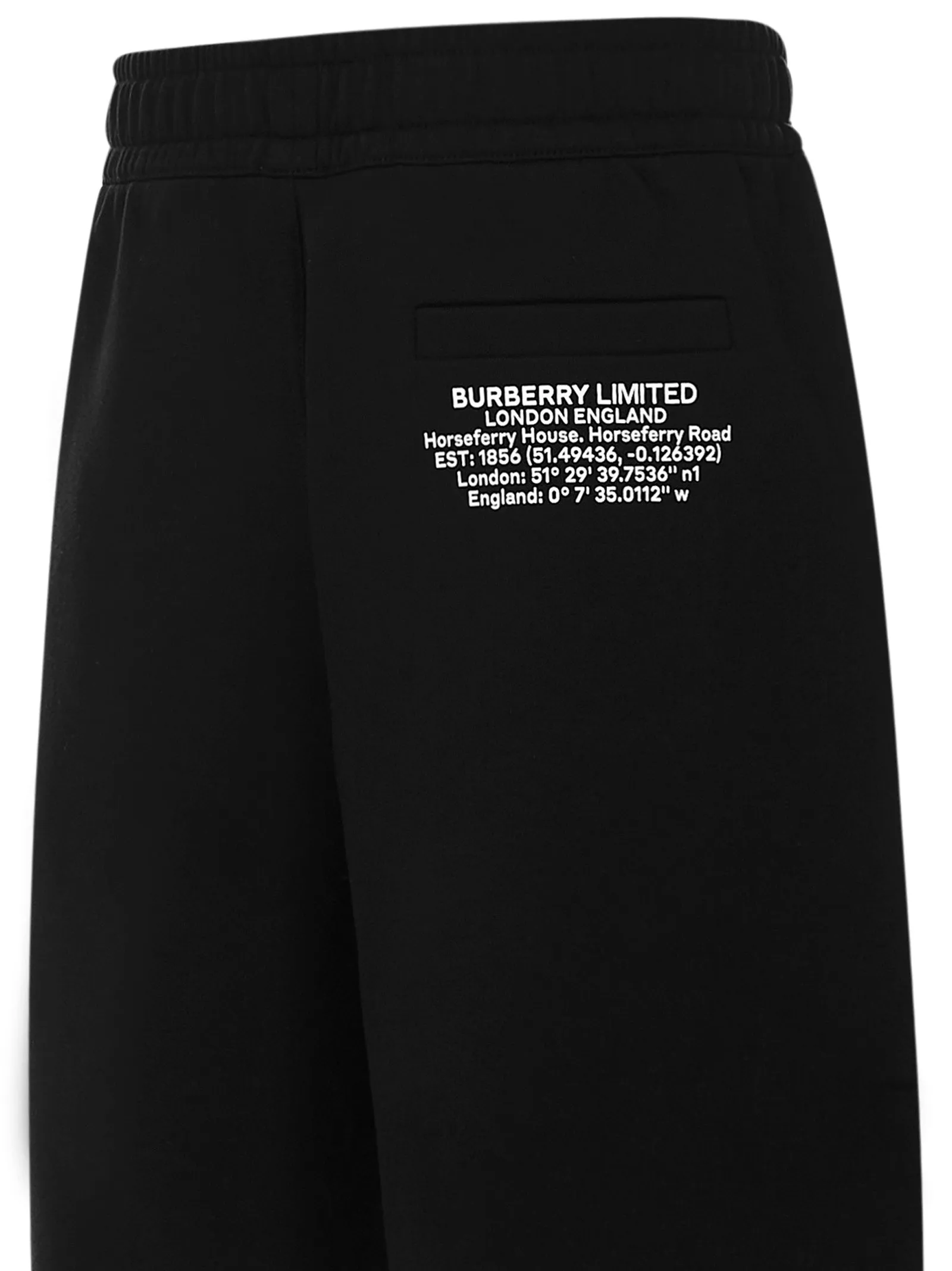 Burberry Logo Print Track Shorts