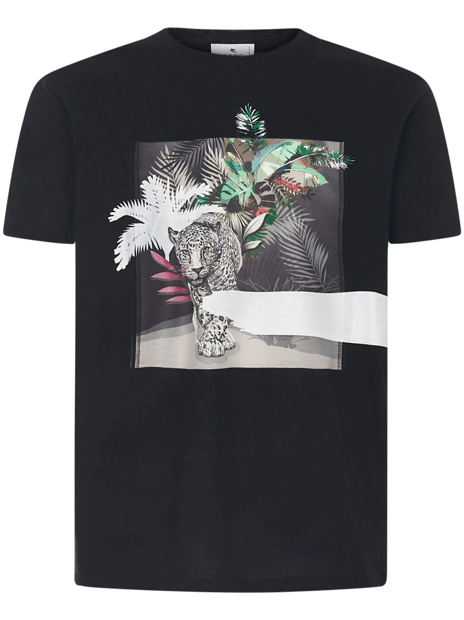 Etro Graphic Printed Crewneck T-Shirt