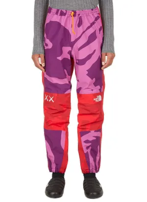 The North Face X Kaws Mountain Light Straight-Leg Pants