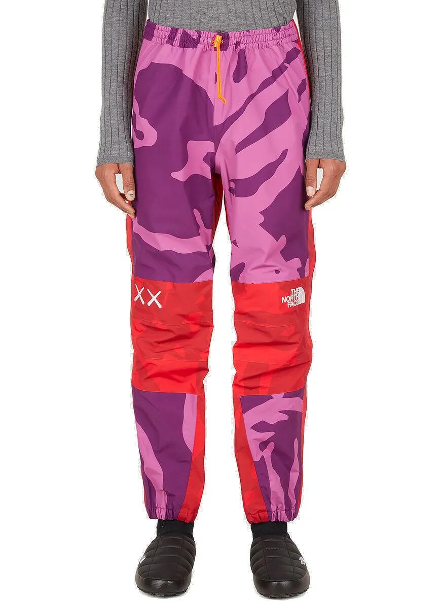 The North Face X Kaws Mountain Light Straight-Leg Pants